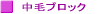 中毛ブロック